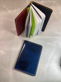 Blue Marble Field Notes/Passport cover